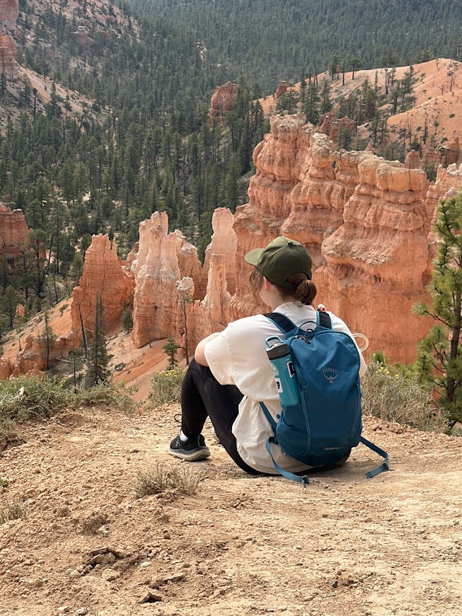 Student overlooking a canyon